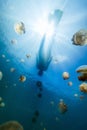 Tourist snorkeling in Jellyfish Lake