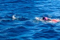 Tourist snorkeling in a Red sea. Summer vacation concept