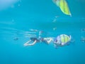 Tourist snorkeling with sergeant fish in the blue thai sea near Ko Ngai, Ko Lanta, Thailand Royalty Free Stock Photo