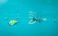 Tourist snorkeling with sergeant fish in the blue thai sea near Ko Ngai, Ko Lanta, Thailand