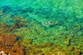 Tourist snorkeling in a turquoise sea