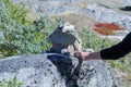 Tourist Are Stacking Stones in Greenland mountains