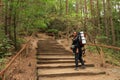 Tourist on stairs on path in forest