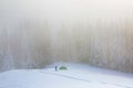 Tourist stands on the path next to the green tent. Fantastic fog covers the forest in the cold winter day. Mountain landscapes Royalty Free Stock Photo