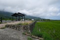 Hualien Rice Terraces