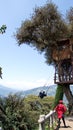 Tourist on a swing at Casa del Arbol