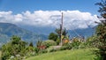 Tourist on a swing at Casa del Arbol Royalty Free Stock Photo