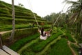 Tourist swinging on the rice paddies. Tegallalang. Gianyar regency. Bali. Indonesia