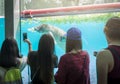 Tourist take a picture of Manatee in a zoo