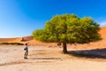 Tourist taking photo at Sossusvlei, Namibia. Scenic Acacia trees and majestic sand dunes, Namib desert, Namib Naukluft National Pa Royalty Free Stock Photo