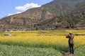 Tourist taking pictures of the canola flowers nearby ShiGu village on the first bend of the Yangtze river