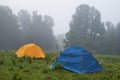 Tourist tent camp in a foggy mountain forest Royalty Free Stock Photo