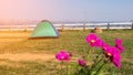 Tourist tent camp Royalty Free Stock Photo