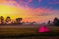 Tourist tent in forest camp among meadow sunrise Royalty Free Stock Photo