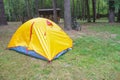 Tourist tent in the forest campsite, yellow camping tent