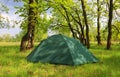 Tourist tent in green forest Royalty Free Stock Photo