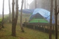 Tourist tent in mist and fog