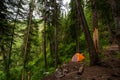 A tourist tent stands in the forest at a camping site