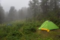 Tourist tents in the fog in forest. Altai Krai.