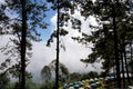Tourist tents in forest at campsite, Camp site in the forest at Doi Ang Khang-Thailand