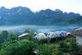 Tourist tents in forest at campsite, Camp site in the forest at Doi Chiang Dao - Thailand