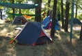 Tourist tents stand in the forest. Campers parking.