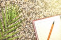 Tourist theme, sandy beach, southern plant, notebook