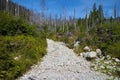 Tourist trail in Dolina Kezmarskej Bielej vody, route to the ascent to Chata pri Zelenom plese