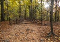 Tourist trail in the JodÃâowa Primeval Forest, from Saint Catherine to Lysica, partly built as a boarded walkway