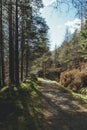 Tourist trail path in Scotland Royalty Free Stock Photo