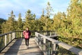 Tourist on The trail trees Lipno Lookout