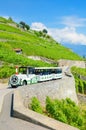 Tourist train driving along terraced vineyards by Geneva Lake, Switzerland. Swiss Lac Leman is popular travel destination and