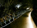 Tourist train in Postojna cave