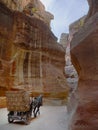 A Tourist transport carriage passing by the Siq, narrow gorge, the entrance passage leading to the historical and archaeological