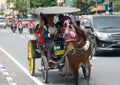 Tourist transport