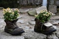 Tourist traveler hiker shoes boots with flowers.