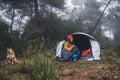 Tourist traveler relaxation red shiba inu in camp tent on background froggy forest, hiker woman with puppy dog in mist nature trip Royalty Free Stock Photo