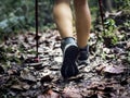 A tourist trekking in a forest