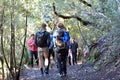 Tourist trekking in Rangitoto Island New Zealand