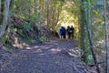 Tourist trekking in Rangitoto Island New Zealand