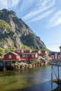 Robuer showed at the village A on the lofoten island norway Royalty Free Stock Photo