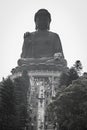 The tourist visited Giant Tian Tan Buddha statue on the peak of the mountain at Po Lin Monastery in Lantau Island, Hong Kong.