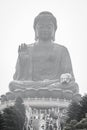 The tourist visited Giant Tian Tan Buddha statue on the peak of the mountain at Po Lin Monastery in Lantau Island, Hong Kong.