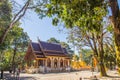 Tourist visited the golden pagodas at Wat Phra That Doi Tung, one of which is believed to contain the left collarbone of Lord Budd Royalty Free Stock Photo