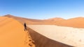 Tourist visiting the desert dunes on a sunny and windy day, Deadvlei, Sossusvlei, Namibia Royalty Free Stock Photo