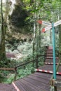 Tourist waking on board trail into Mulu National Park