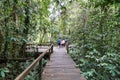 Tourist waking on board trail into Mulu National Park