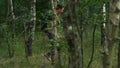 tourist walk through a dense forest during the day