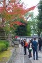 Tourist walk and see Red maple leaves in autumn at Fushimi Inari-taisha shrine