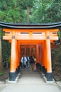 Tourist walk and see Red torii at Fushimi Inari-taisha shrine